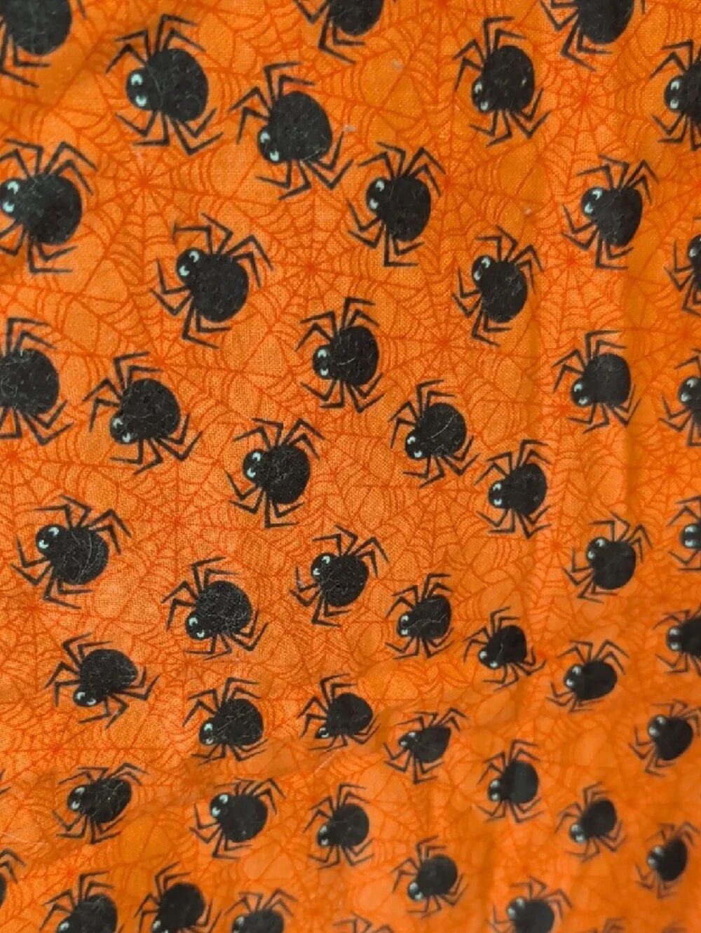 Halloween Pumpkin & Black Cat Quilt
